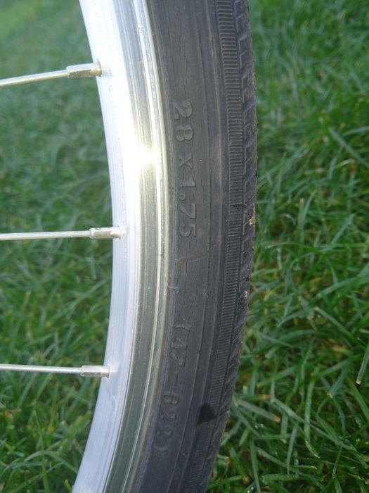 Rower Senator       .