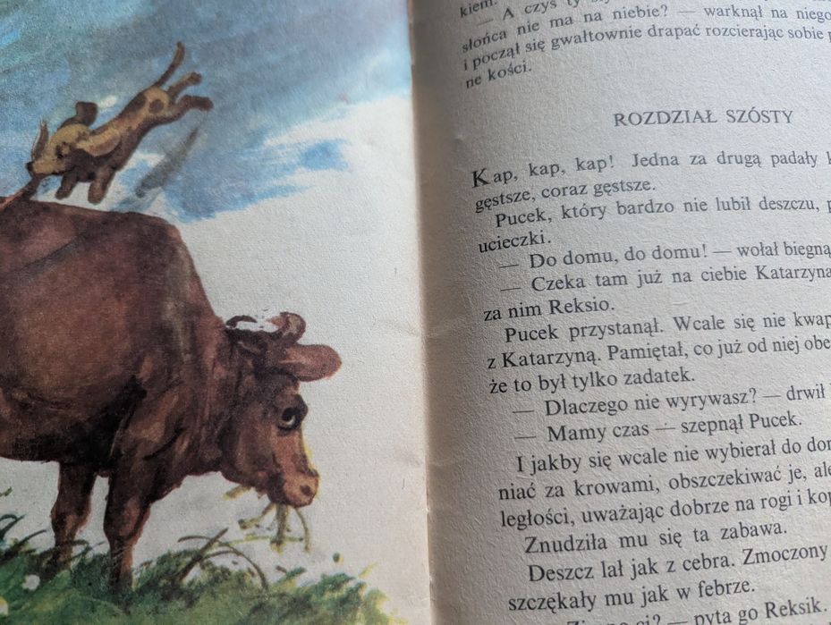 Stara ksiazka, Reksio I Pucek, Grabowski