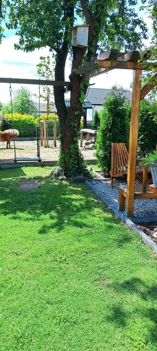 Domek całoroczny 4 osobowy, agroturystyka