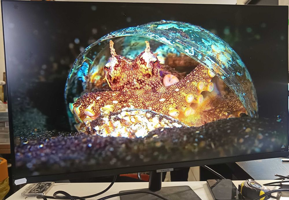 Samsung Smart Monitor M7 32" 4K UHD USB-C WiFi Smart TV S32BM700UP WYSYŁKA