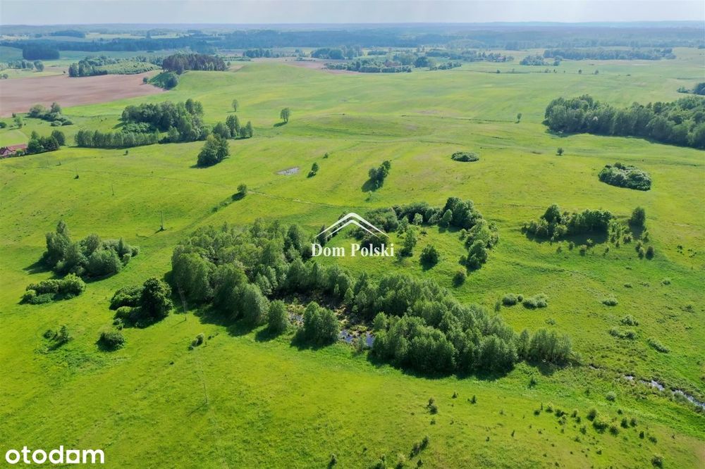 Działka z warunkami zabudowy - 7,28 ha - Świętajno