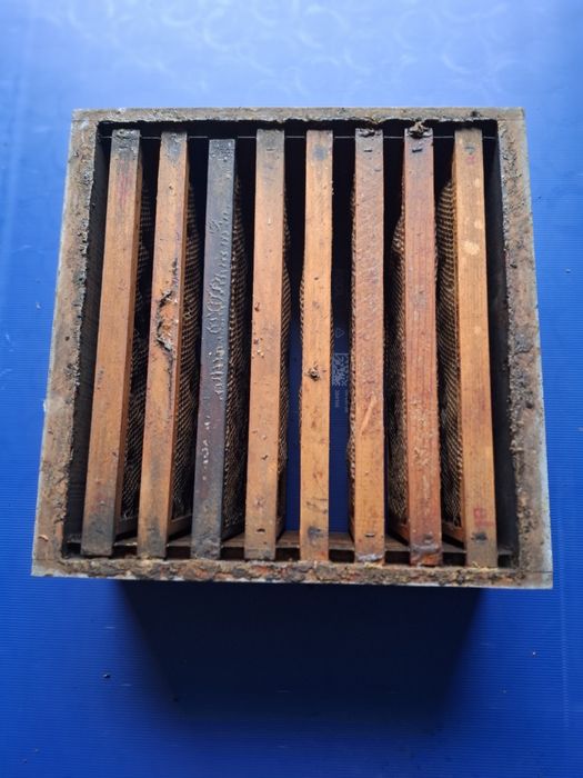 Meias alças abelhas