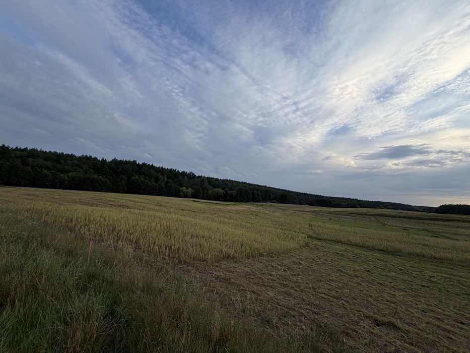 Działka bydowlana Handlowy Młyn
