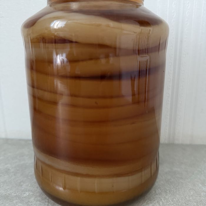 Продам чайный гриб