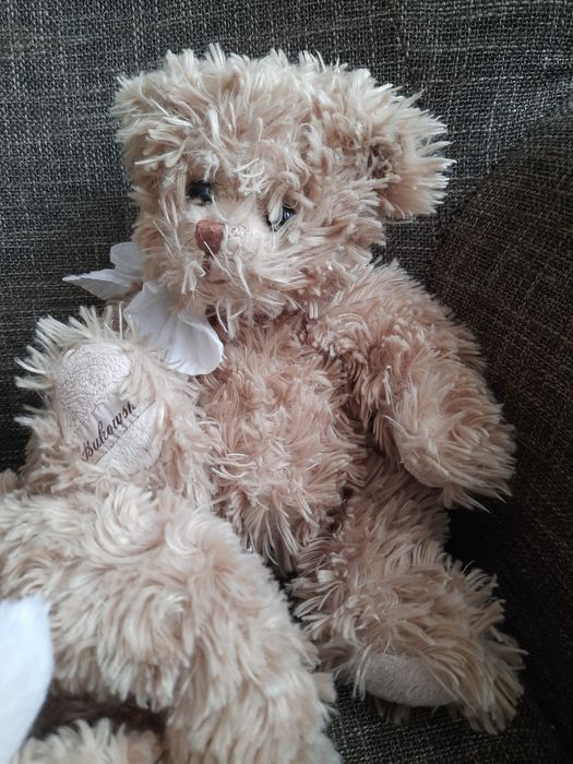 Maskotki Bukowski - misie, pieski