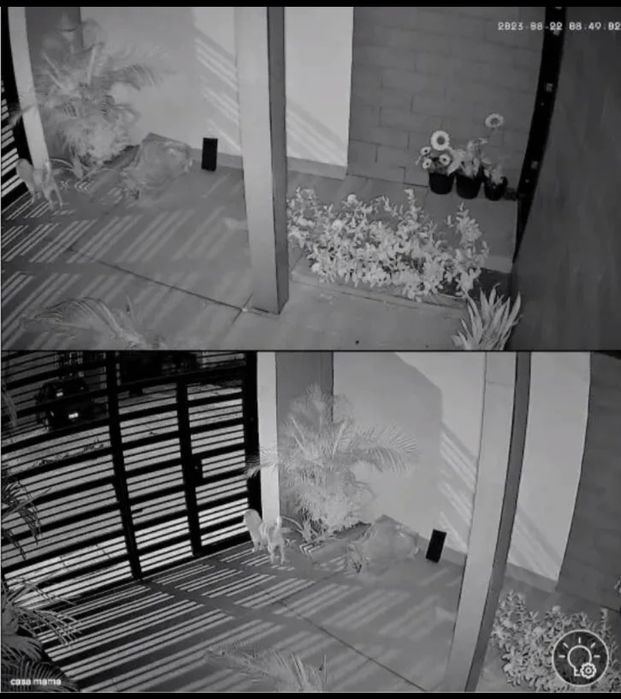 LIQUIDAÇÃO! ULT. UNIDADES! DUAS CAMERAS vigilância em 1! !