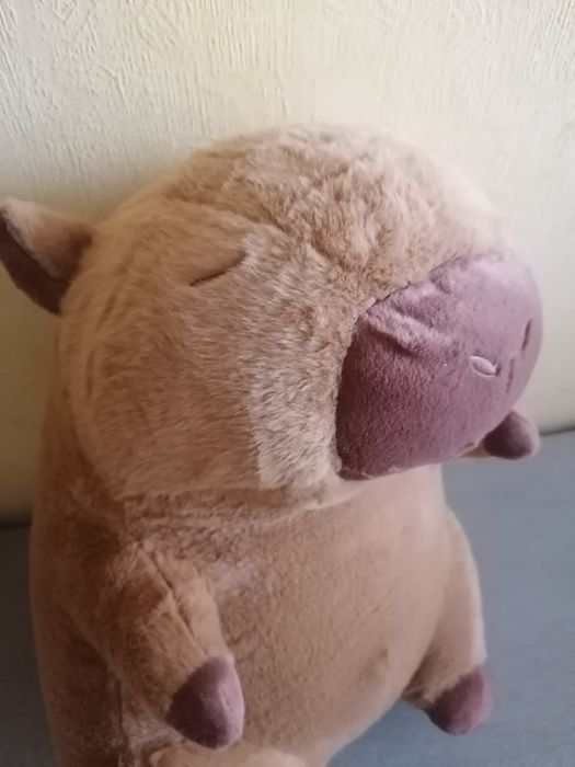 Duża maskotka/Duży pluszak kapibara