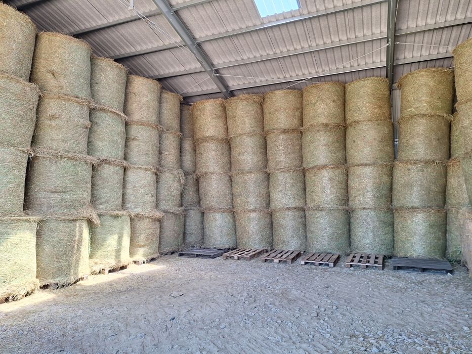 Sianokiszonka i siano