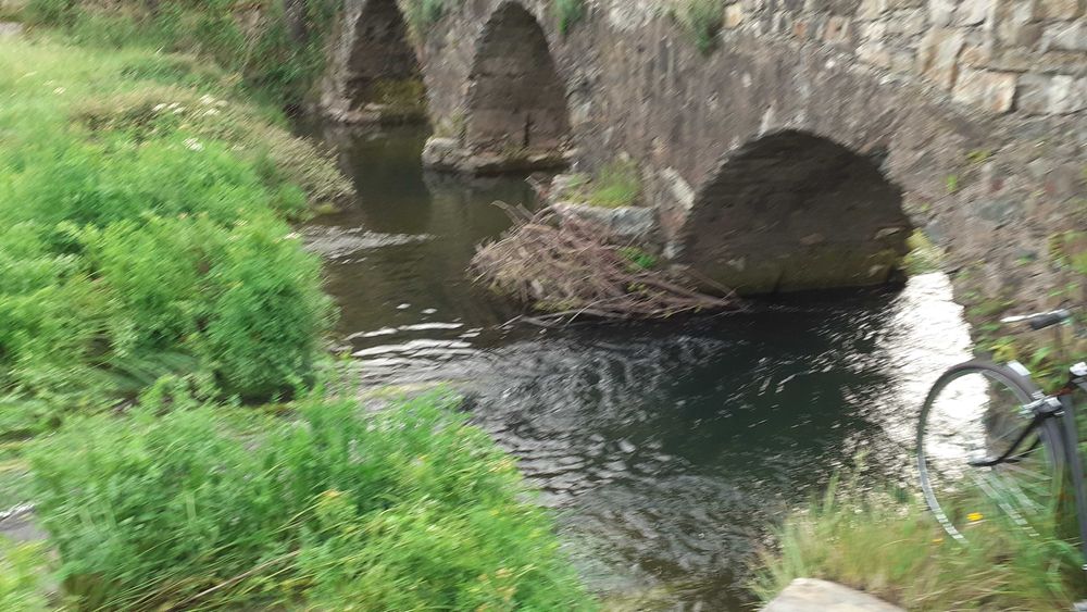 Pasteleiras d`Aldeia