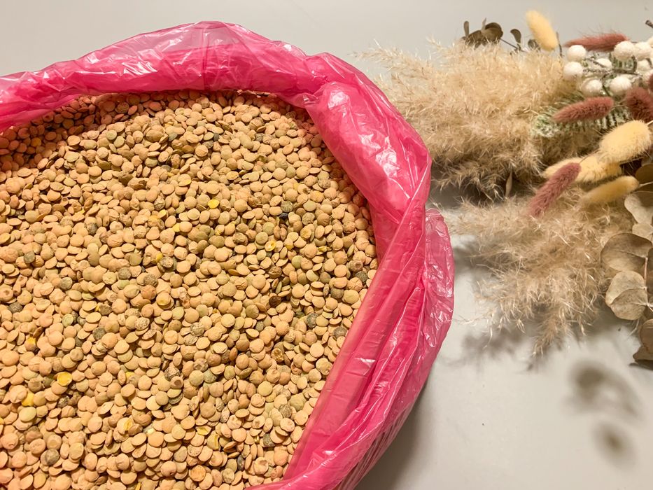 Зелена сочевиця. Чечевиця Крупи, зерно. Якісна, чиста, без сміття