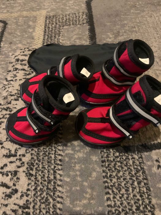 Buty dla psa. Rozmiar S.