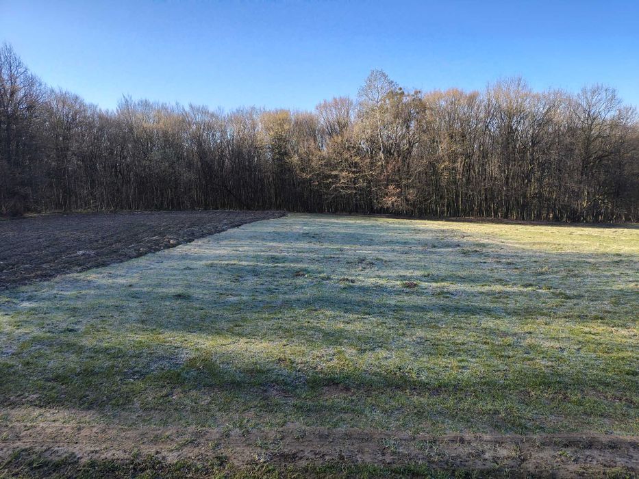 Земельна ділянка, Галич-гора