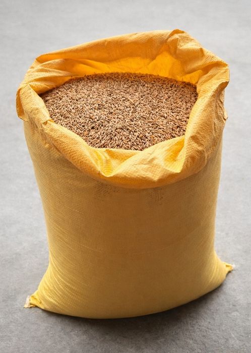 Owies sezon 2025 ,czysty