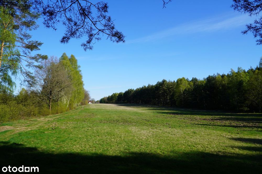 Dzialki budowlane Lipinki/Suchleb