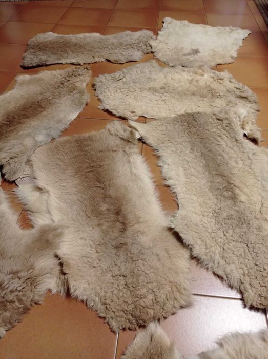 Peles Cordeiro em ótimo estado (55 peles)