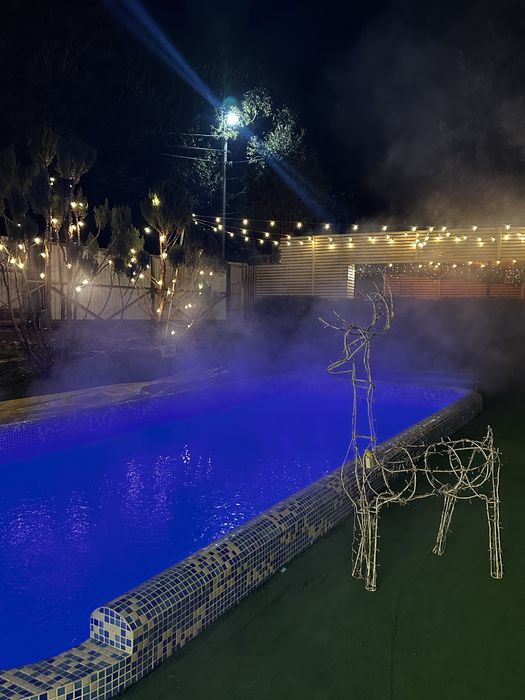 Будиночок в Карпатах