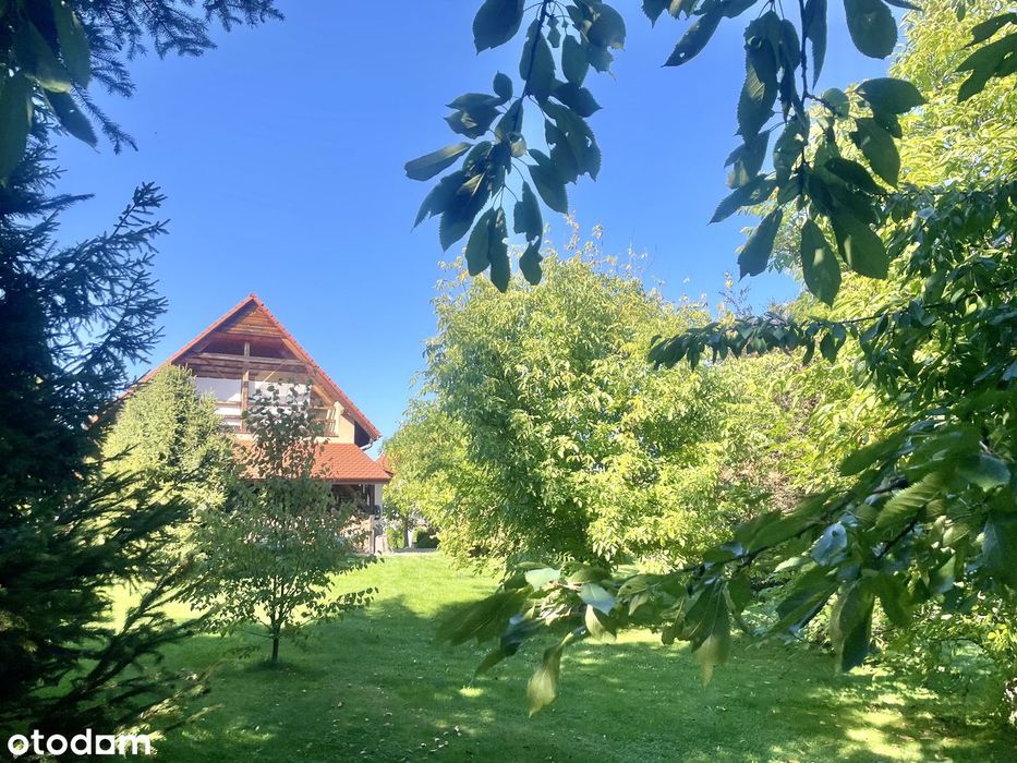 Dom – Głuchołazy, Osiedle Koszyka, powiat nyski - Widok 2