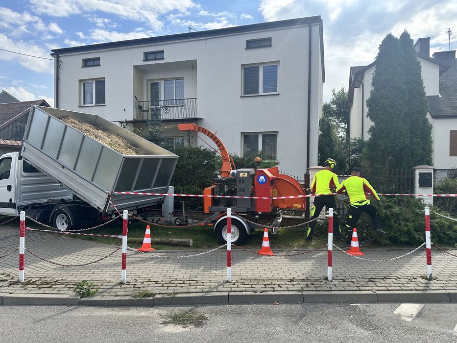 Wycinki drzew - czyszczenie działek - usługi rębakiem