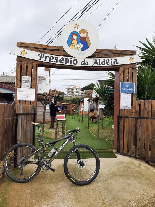 Cannondale Scalpel