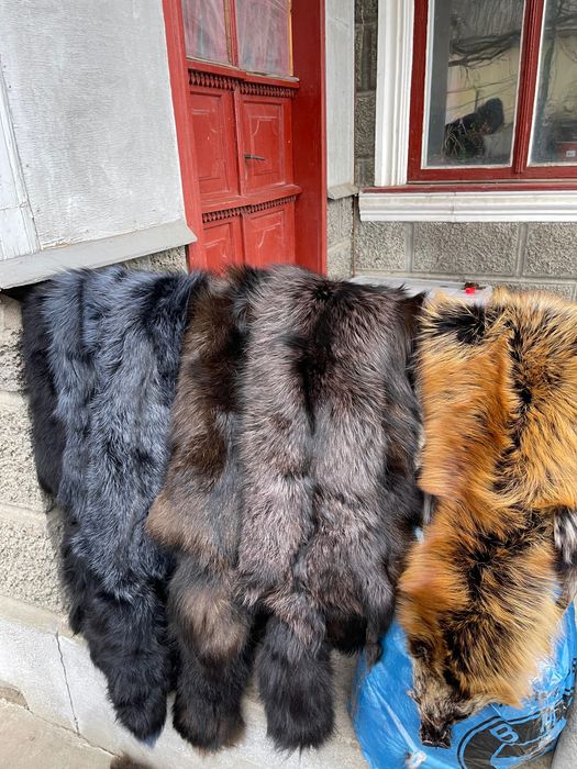 Хутро чорно-бурої лисиці