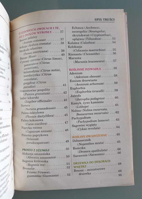 BPD - Kompozycje nie tylko z kwiatów / Przebojowe doniczkowe