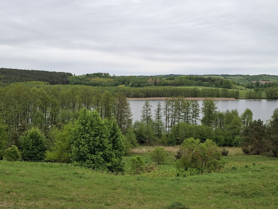Domek pod szyszką