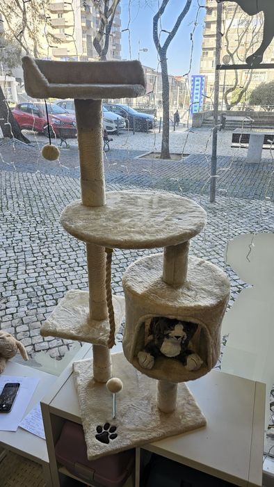 Ginásio para gatos 140cm