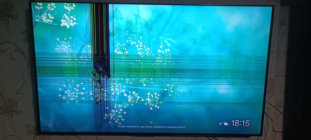 Телевизор TCL 65"C845