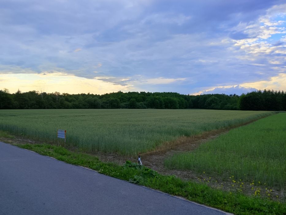 Działka budowlana 2016 m² - View 5