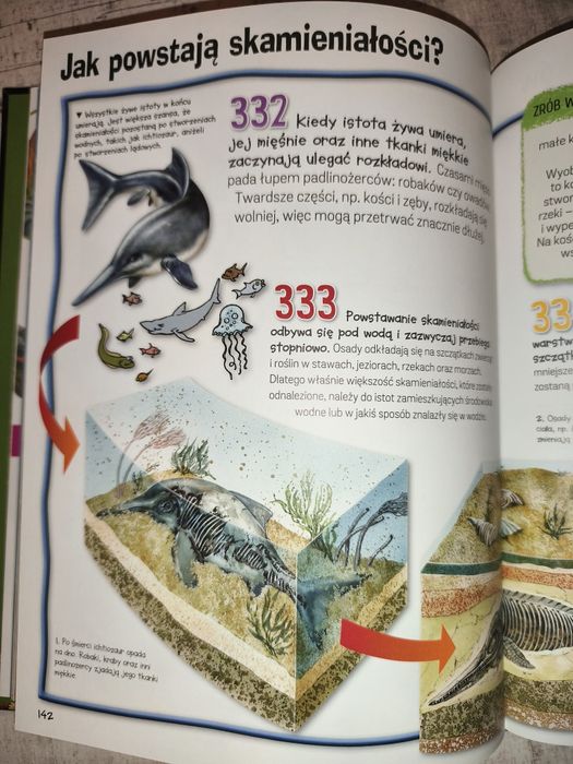 Encyklopedia dla dzieci dinozaury i życie prehistoryczne