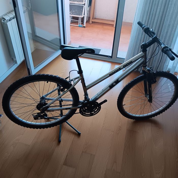 Bicicleta de senhora
