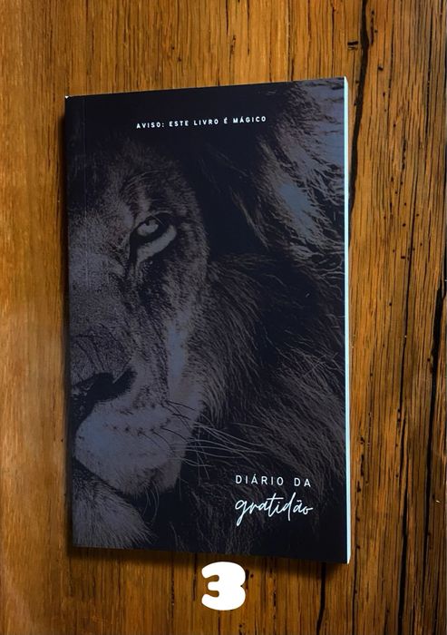 Diário da gratidão ( Ótimo presente de natal )