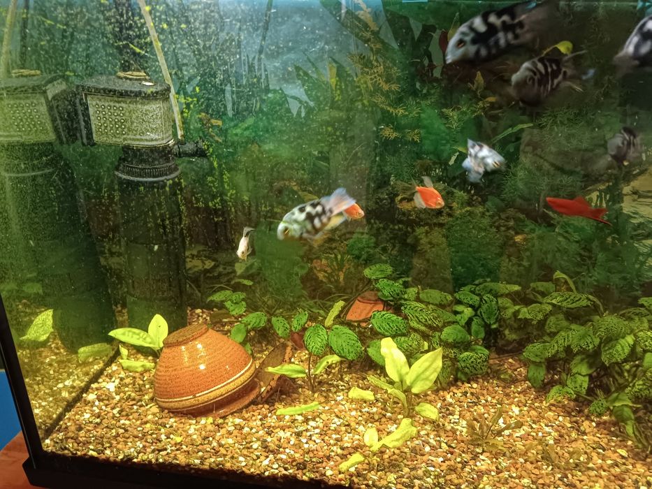 Акваріум 200 л..