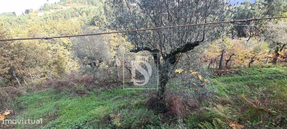 Terreno  Venda em Candemil,Amarante