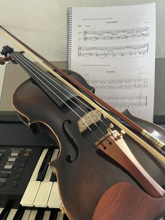 Violino Profissional ( Promoçao)