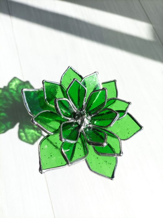 Sukulent ze szkła witraż