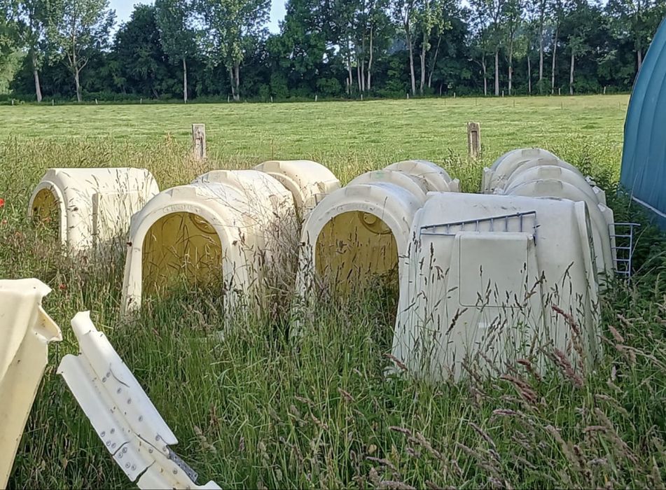 Budki igloo dla cieląt boxy wybieg domki iglo