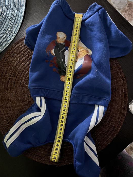 Костюм для песика