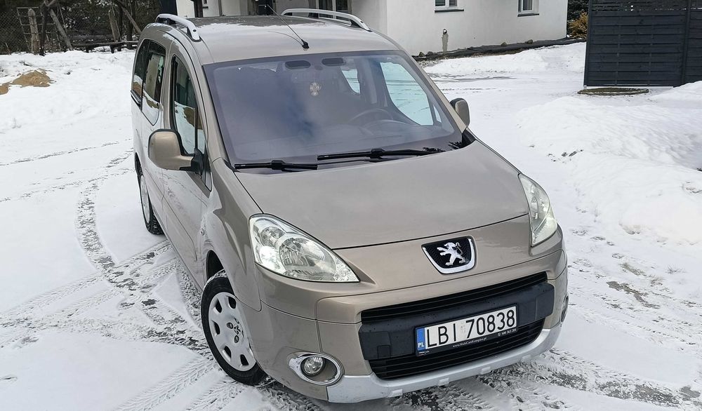 Peugeot Partner 1,6 109 km (B+G)