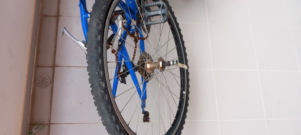 Bicleta para reforma