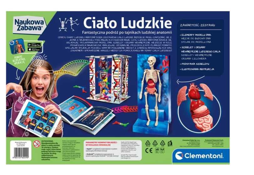 Ciało Ludzkie Człowieka ZESTAW SZKIELET Clementoni