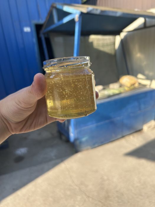 Акація 2025 мед