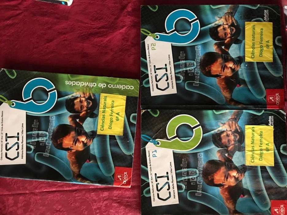 Livro ciências CSI 6° ano