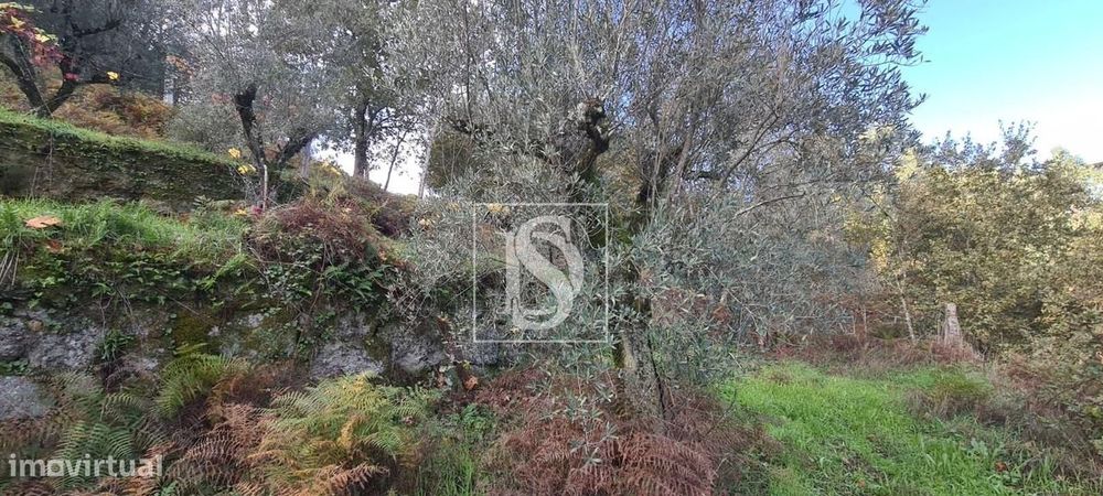Terreno  Venda em Candemil,Amarante