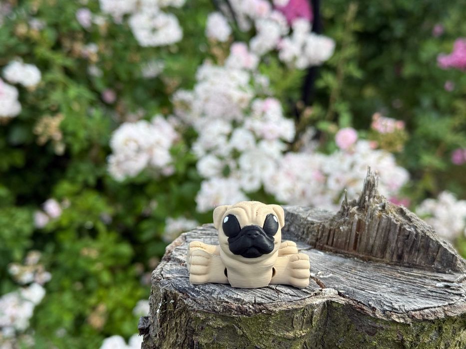 Mini Mops 3D – ruchoma, przegubowa mini figurka psa, Minimals, zabawka, pies
