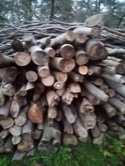 Drzewo bukowe sezonowane