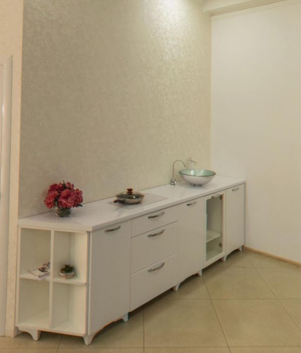 Шафа кухня для офісу з індукційною плитою і умивальником