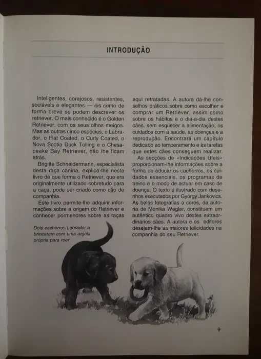 "O Retriever" de Brigitte Schneidermann