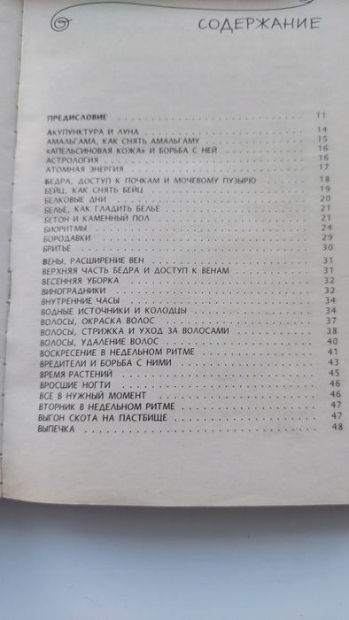 Книга Лунный словарь