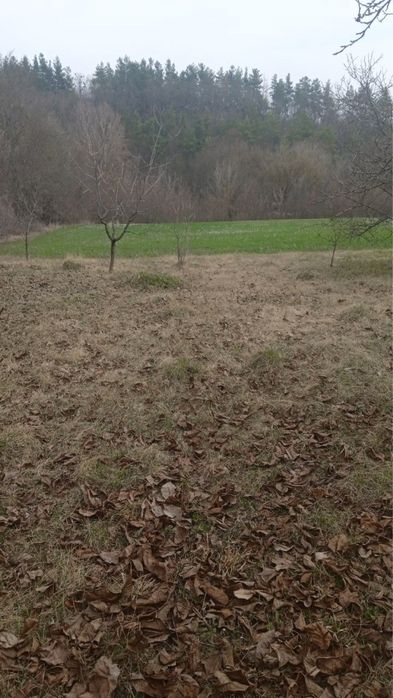 Продаж будинку та землі Богуслав с.Тептіївка.